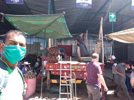 Buying food in bulk