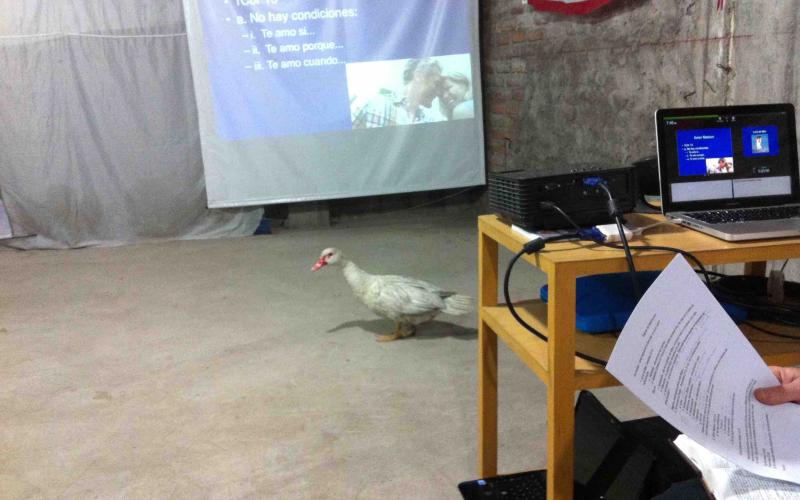 Duck!