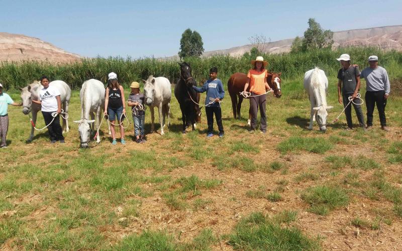 Horse Camp