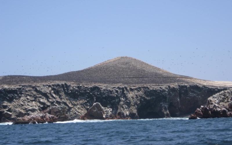 Paracas